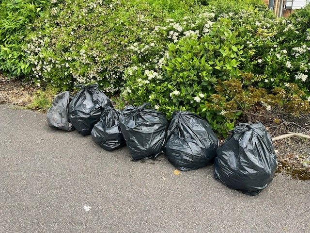 Lincoln Road litter Pick