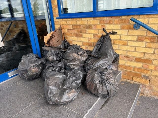 Team Up to Clean Up – June 2024