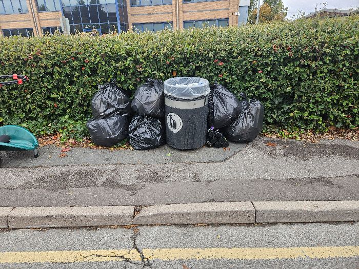 6 Bags of Litter & 7 Gas Bottles collected from various parts of the business park