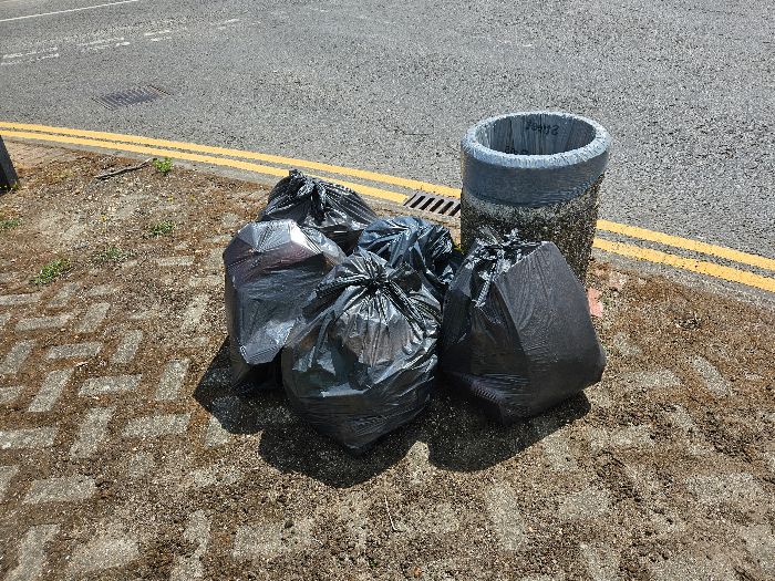 Litter collected from Halifax, Stirling, Blenheim, Turnpike & Coronation Roads