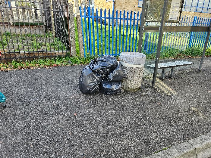 Litter collected from all areas of the business park. Waste collected has been put next to bin in front of Staytite Ltd